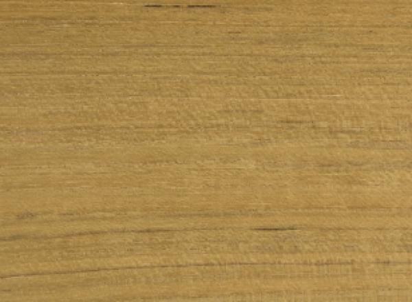 Click to enlarge image Teak Asia.png
